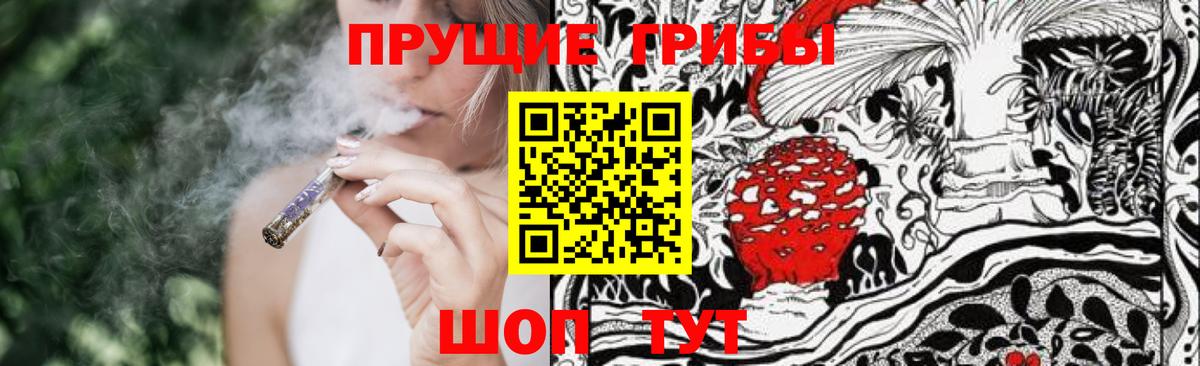 Ликино-Дулёво  Псилоцибиновые грибы прущие грибы  Вход с VPN 