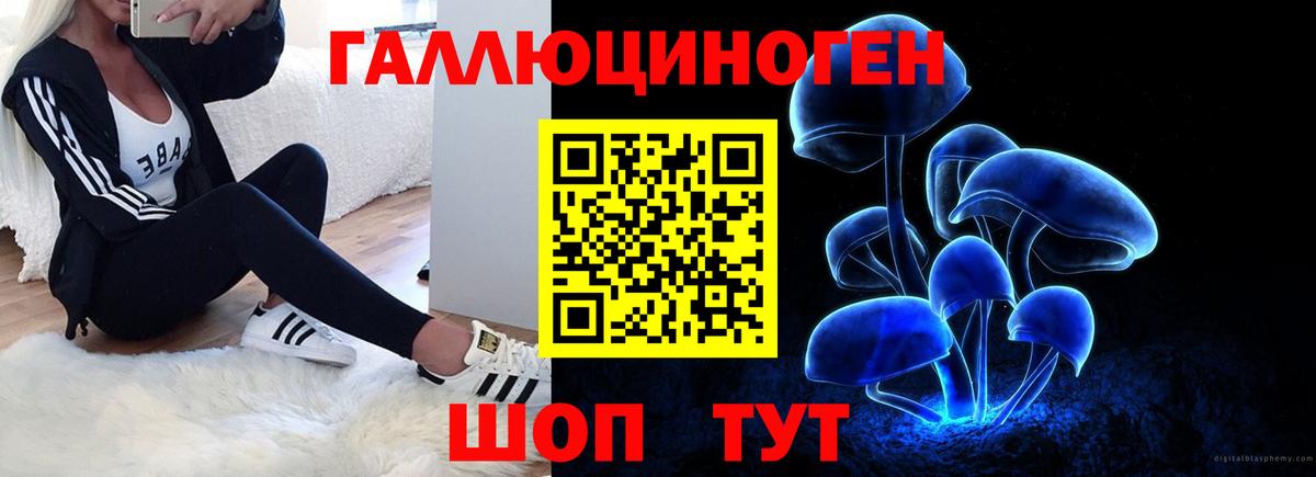 Псилоцибиновые грибы MAGIC MUSHROOMS Ликино-Дулёво